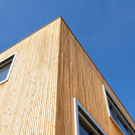 Apartment house with wood facade
